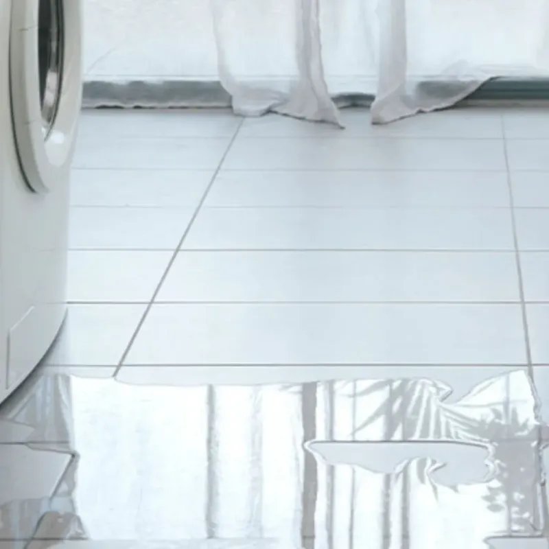 Appliance Leak Cleanup in Monroe County, IL