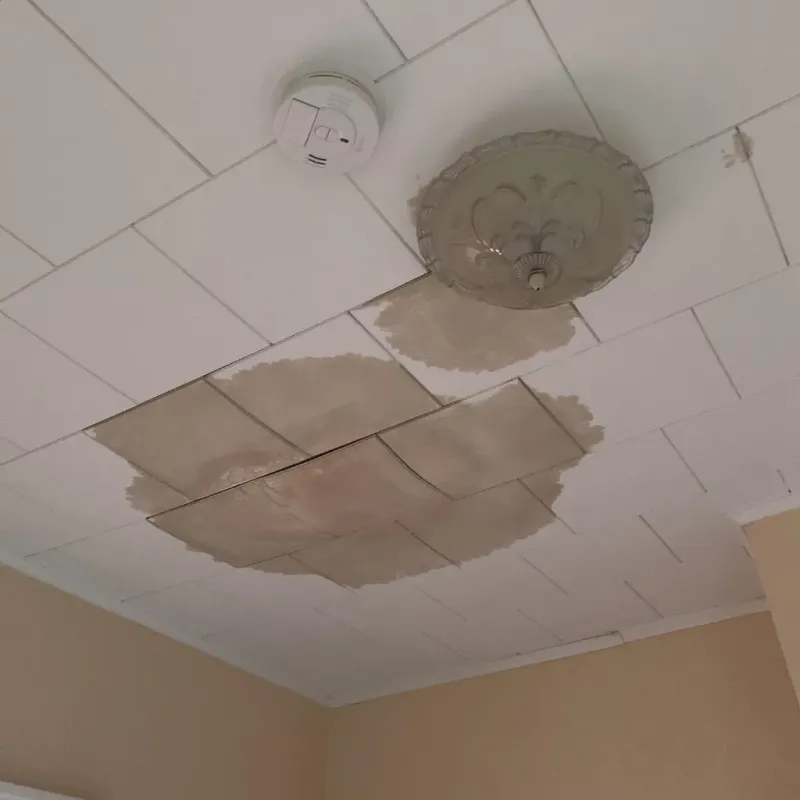 Ceiling Water Damage Repair in Monroe County, IL