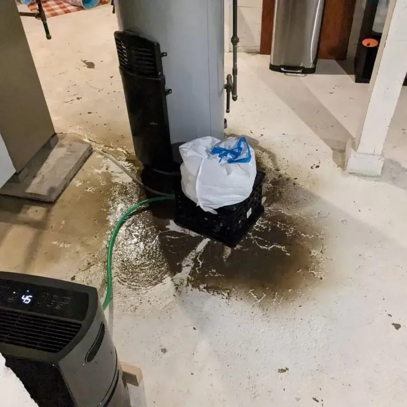 Sewage Backup Cleanup Service in Monroe County, IL
